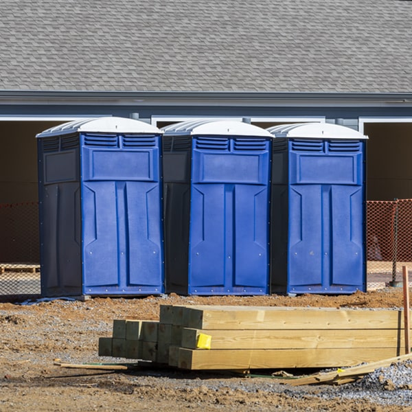 how can i report damages or issues with the portable toilets during my rental period in Mint Spring VA